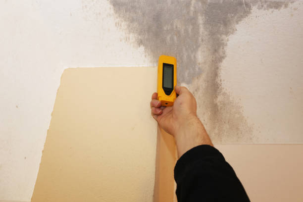 Best Real Estate Mold Inspection  in Leominster, MA