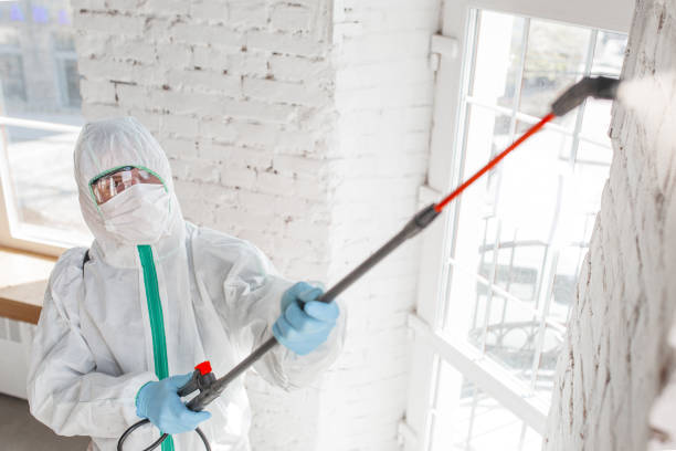 Best Comprehensive Air Testing for Mold Contaminants  in Leominster, MA