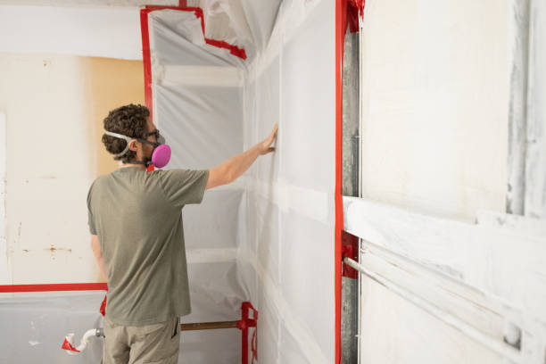 Best Water Damage & Mold Remediation  in Leominster, MA