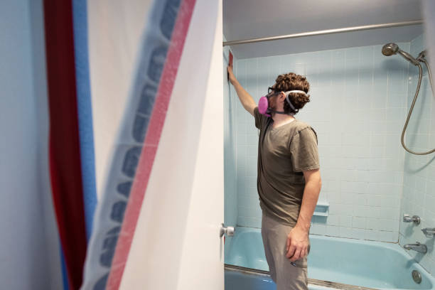 Best Black Mold Removal  in Leominster, MA