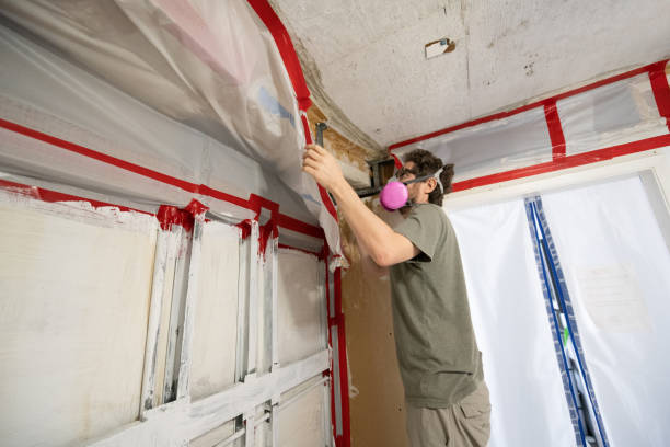 Best Commercial Mold Inspection  in Leominster, MA