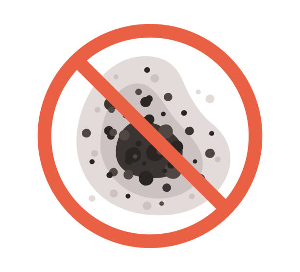 Best Environmental Consulting for Mold Prevention  in Leominster, MA