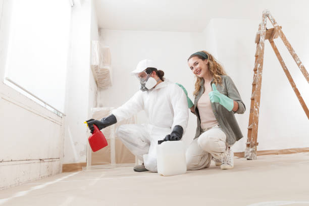 Best Post-Remediation Verification Testing  in Leominster, MA